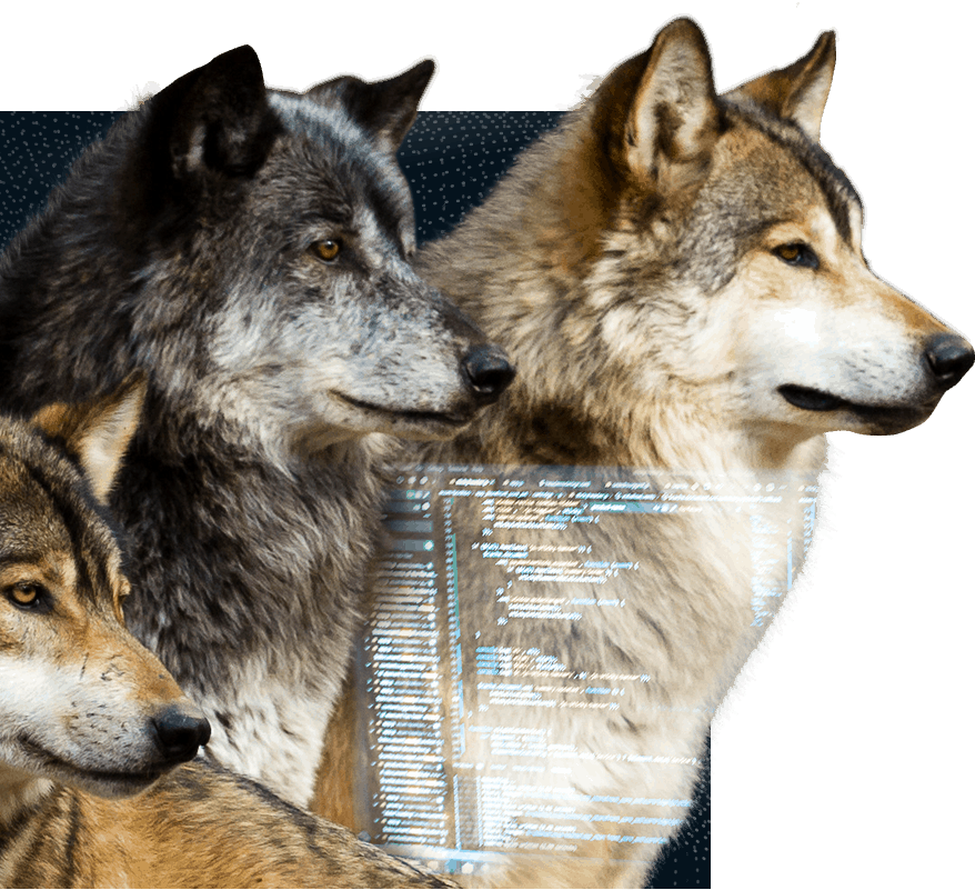 transformacao-digital-1